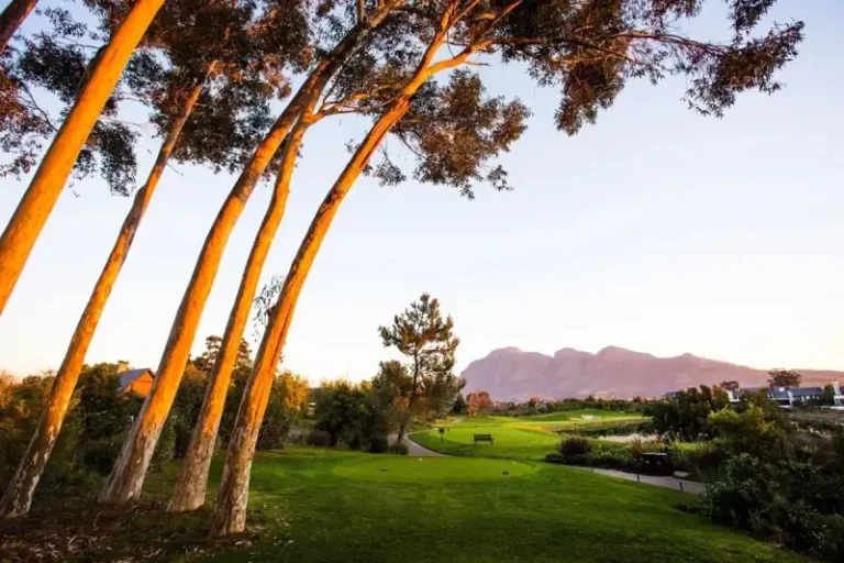 consul_weltreisen-golfplatz-pearl_valley-2