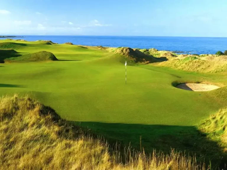 consul_weltreisen-kingbarn-golf-01