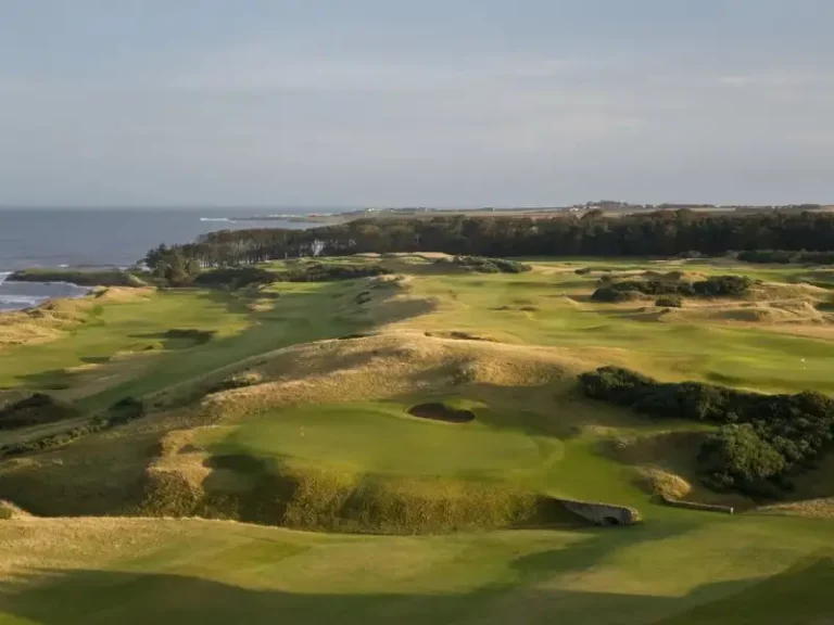 consul_weltreisen-kingbarn-golf-02
